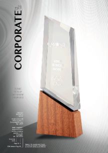 Some Really Different Corporate Trophies