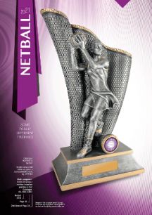 Some Really Different Netball Trophies